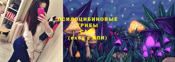 герыч Вязьма