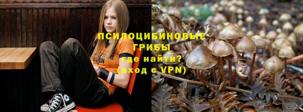 герыч Вяземский